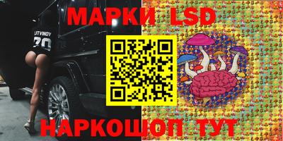 Альфа ПВП Кандалакша