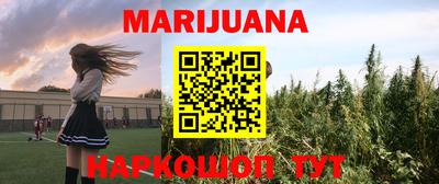 Альфа ПВП Кандалакша