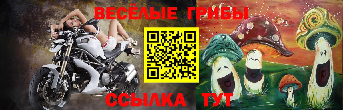 Псилоцибиновые грибы Magic Shrooms  Вход с VPN  Конаково 